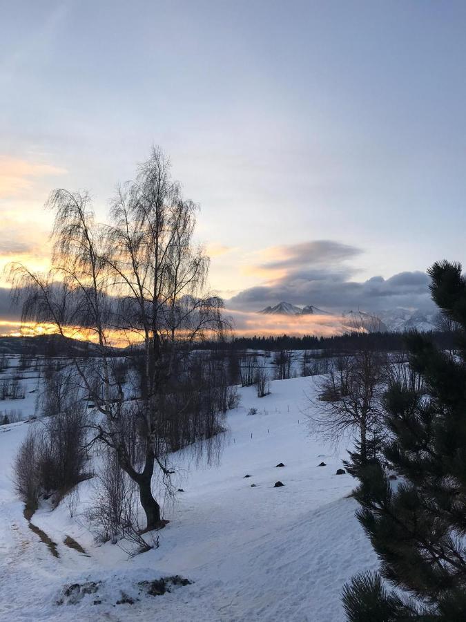 Siumno Izba B&B Brzegi エクステリア 写真