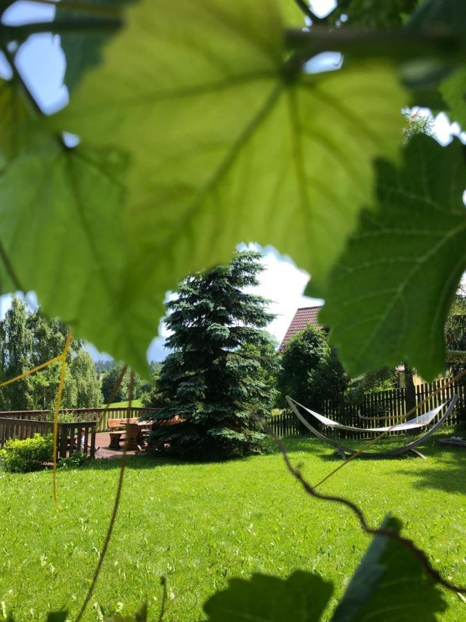 Siumno Izba B&B Brzegi エクステリア 写真